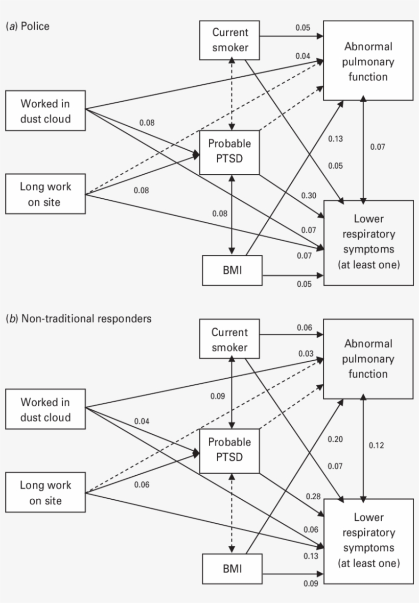 Transparent Library Best Fitting Equation Models For - Path Coefficient, transparent png download
