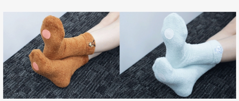 *pokecen* Tails & Paws ~ Alola Vulpix & Eevee Room - Sock, transparent png download