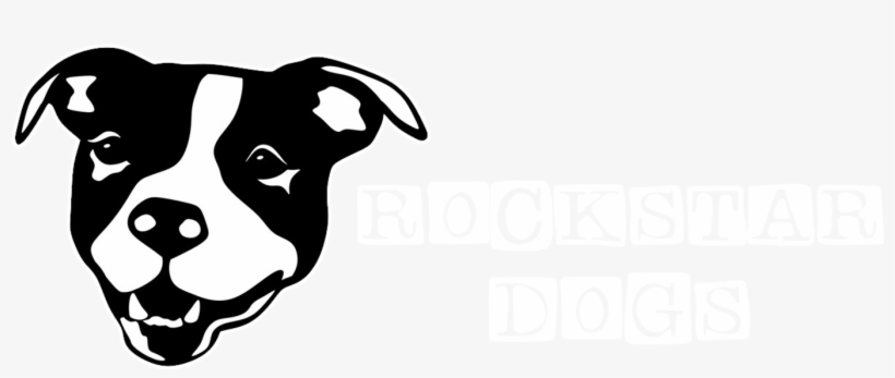 Rockstar Dogs Photography - Dog, transparent png download