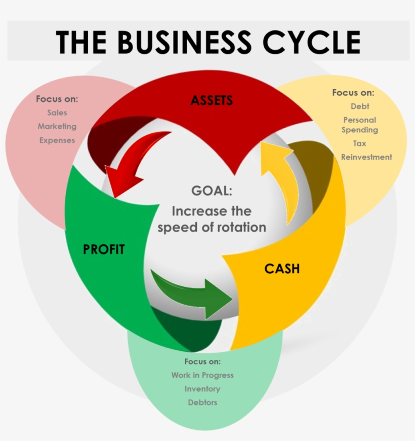 The Business Cycle - Miracle Tree, transparent png download