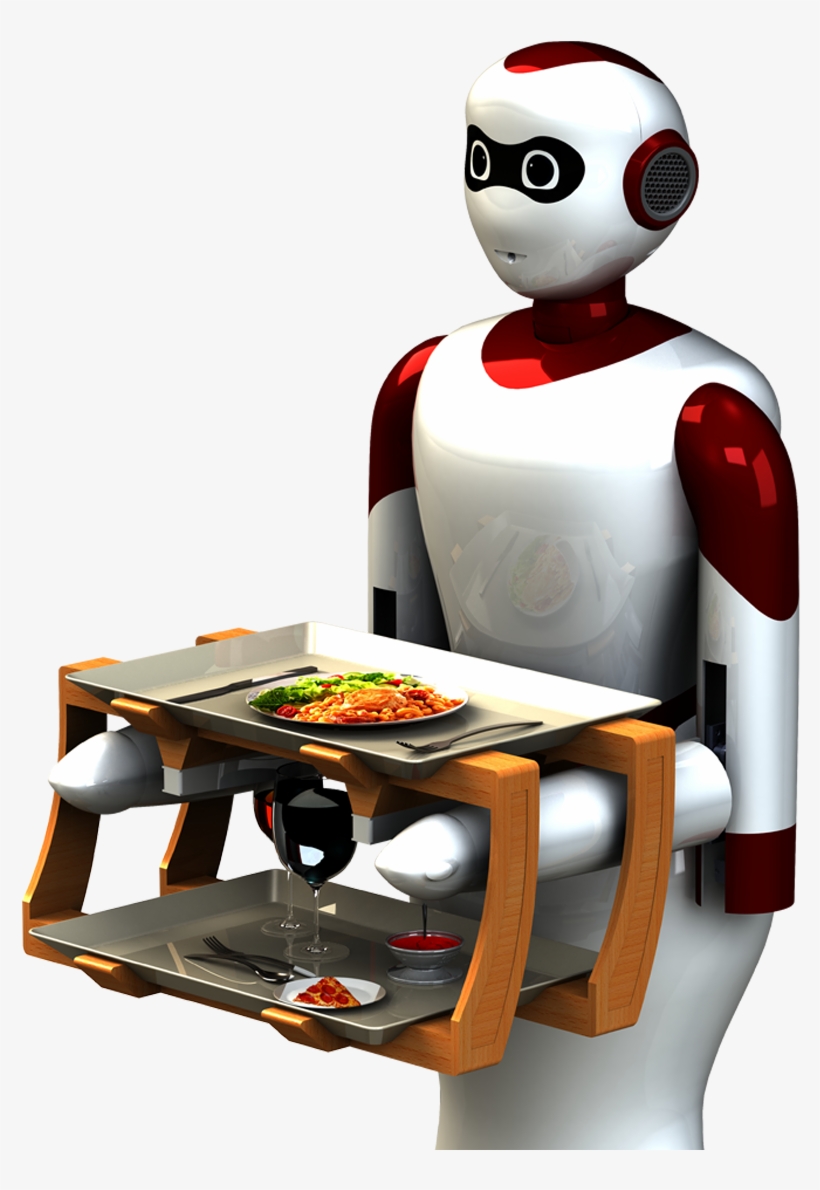 Beautifully Designed Waiter Robot From Paaila Technology - Team Paaila, transparent png download
