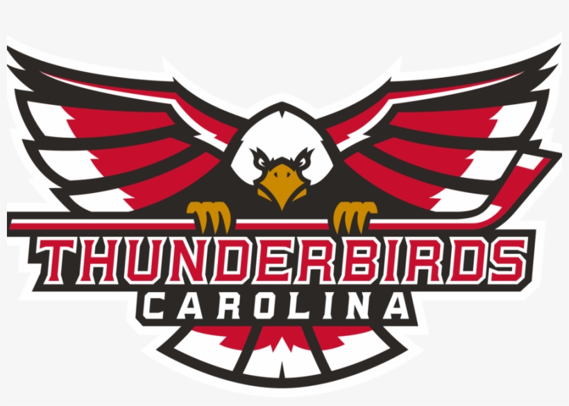 Logo*900xx2030 1353 68 0 - Winston Salem Thunderbirds Hockey Team, transparent png download