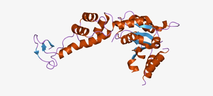Pdb 2rko Ebi - Graphic Design, transparent png download