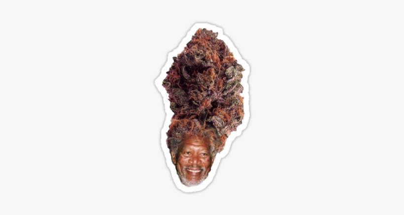 Morgan Freeman - Morgan Freeman Weed Head, transparent png download