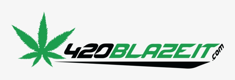 Shop Header - Graphics, transparent png download