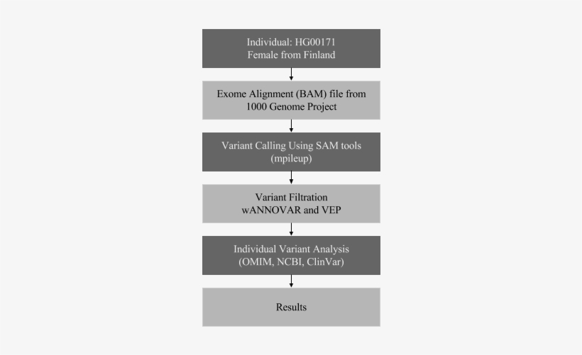 Final Project - The Final Project, transparent png download