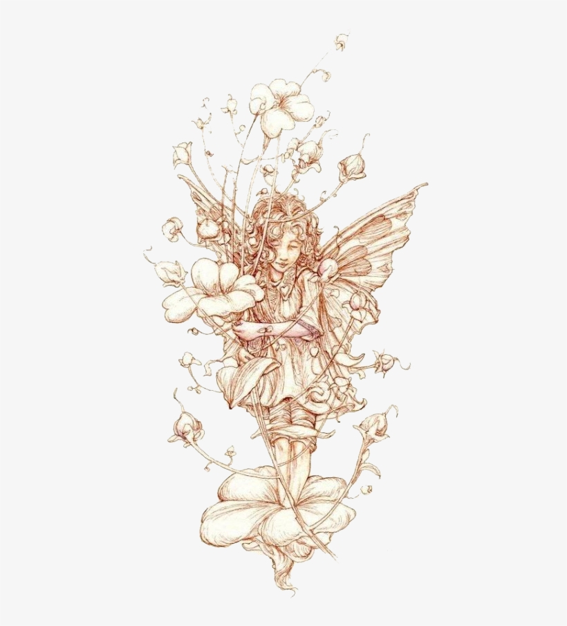 Jpg Download Flower Fairies Of The Wayside Elf Drawing - Gold Snowflake Vector, transparent png download