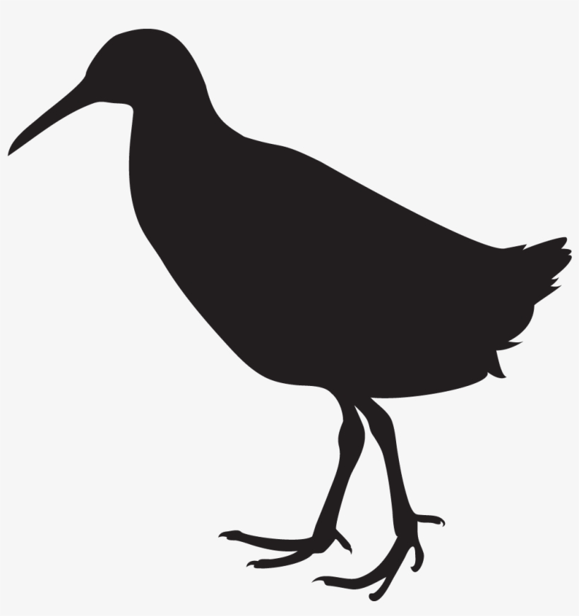 Rail Bird Silhouette, transparent png download