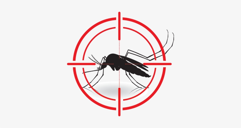 If You Are Looking For The Most Effective And Widely Mosquito Clipart Png Image Transparent Png Free Download On Seekpng
