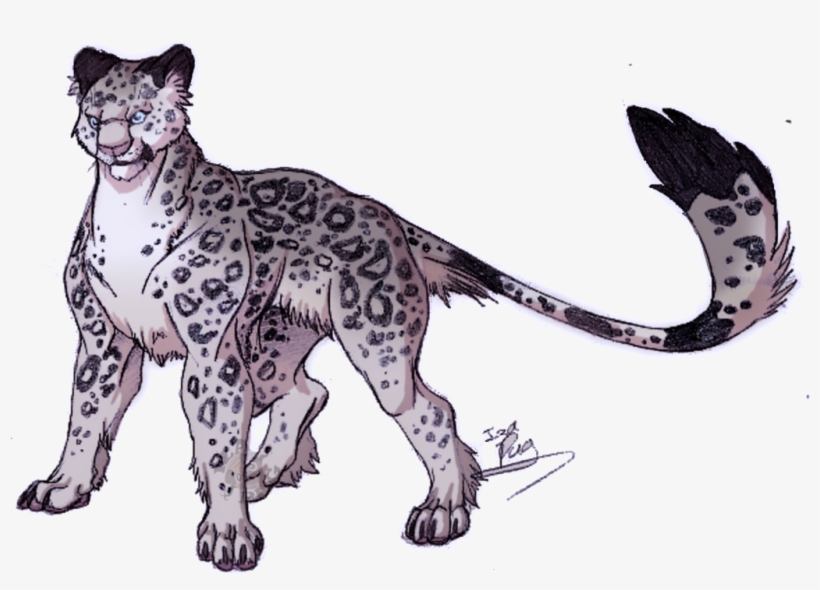 Snow Leopard By Izishjdnaefer D4sw5o2 Dibujo Leopardo De Las Nieves Png Image Transparent Png Free Download On Seekpng