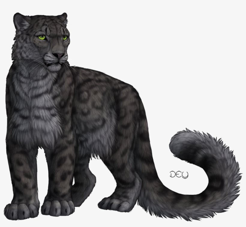 Snow Leopard By Chireiya-d4dba22 - Snow Leopard Black Leopard, transparent png download