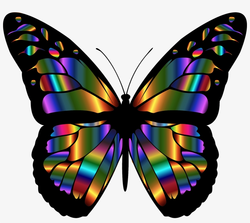 This Free Icons Png Design Of Iridescent Monarch Butterfly, transparent png download