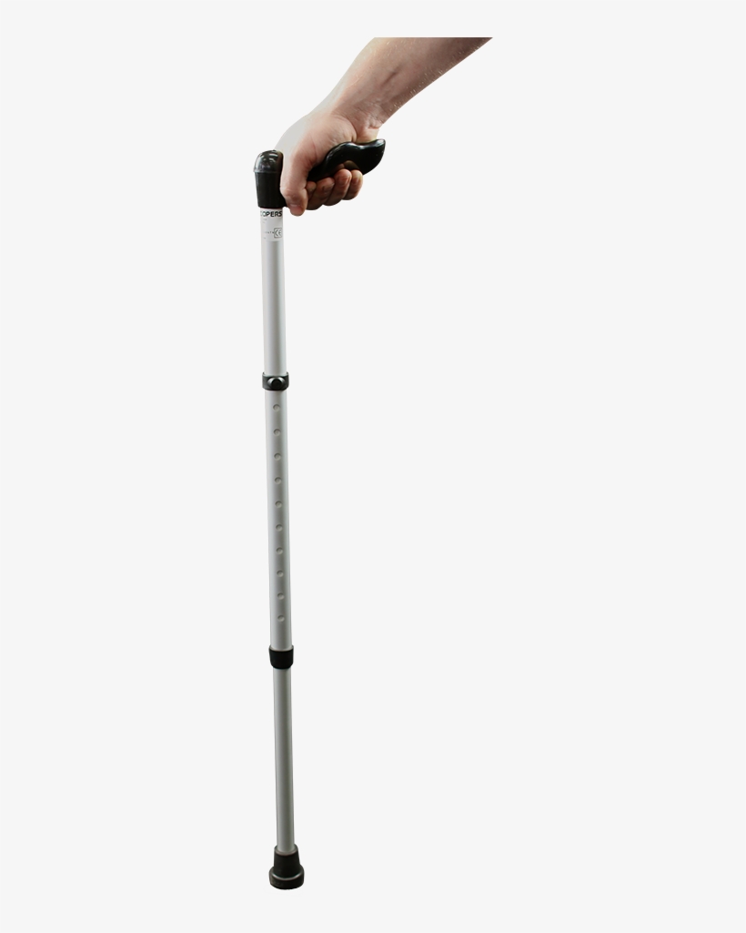 Walking Stick Png Hd - Walking Stick, transparent png download
