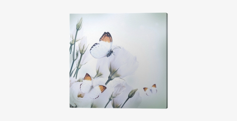 Bouquet Of Pink Roses And Butterfly, Floral Background - Streifenkalender Weisheiten 2018 / Kalender, transparent png download