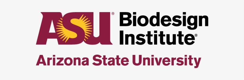 Download Logos In Png - Arizona State University, transparent png download