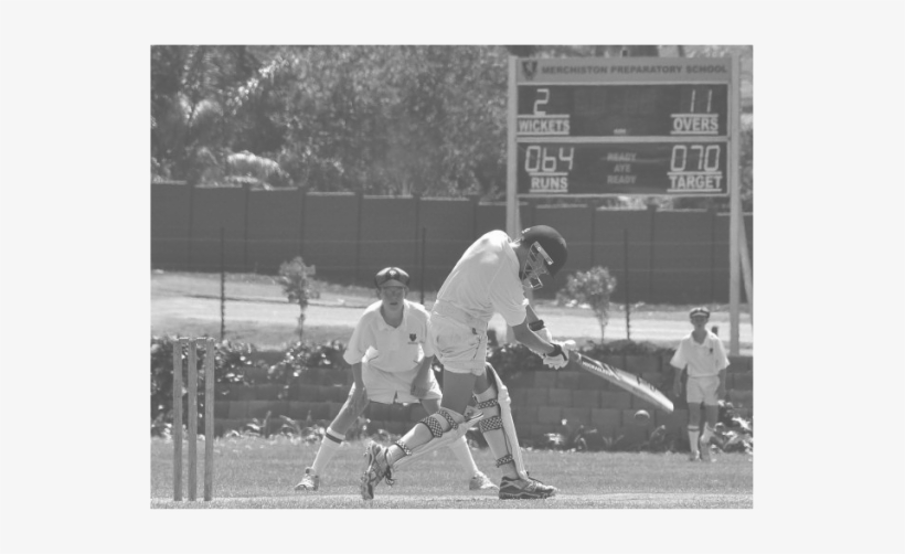 Http - //www - Nwo - Co - Za/wp Des Bw 2 - Cricket, transparent png download