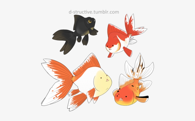 Goldfish, transparent png download