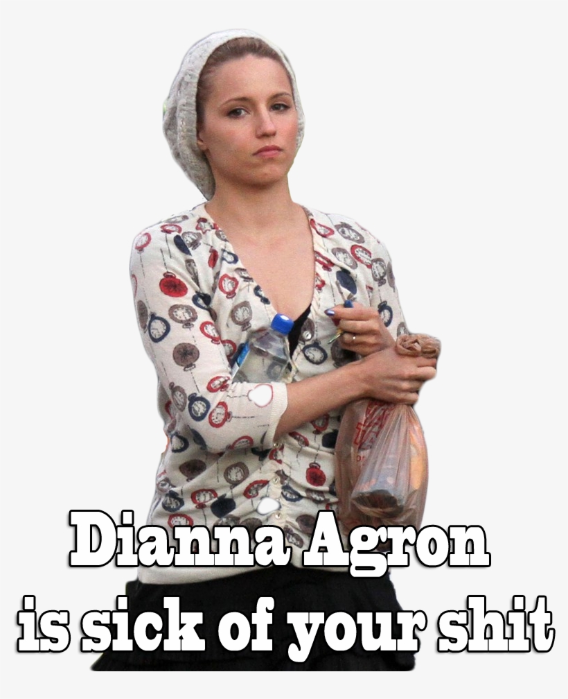 [ ] Spoiler - Dianna Agron Veronica Mars, transparent png download