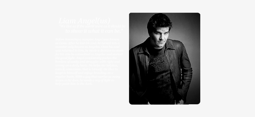 "as Far As Vampires Go You're Pretty Cuddle-y - David Boreanaz, transparent png download