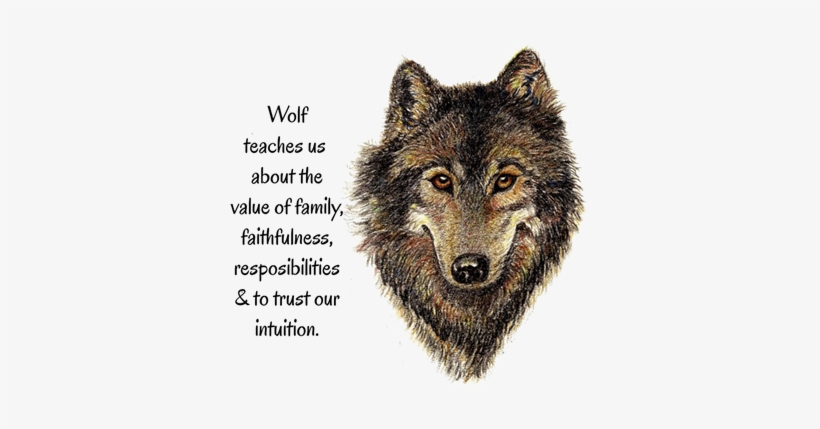 Iphone 6s Case Wolf, transparent png download