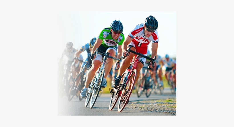 Custom Programs The Custom Program Is Geared Towards - Coaching, transparent png download