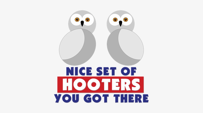 Nice Set Of Hooters You Have There - Nice Tits Sign, transparent png download