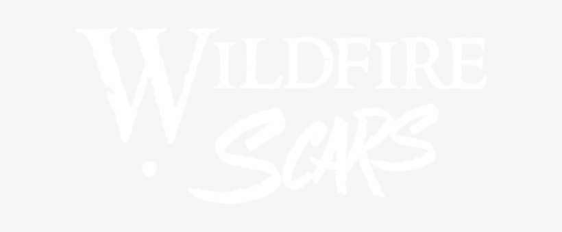 Graphic Stock Wildfire Raw Pop Rock Soundtrack - Colin Stafford Johnson Wild Ireland Coast, transparent png download