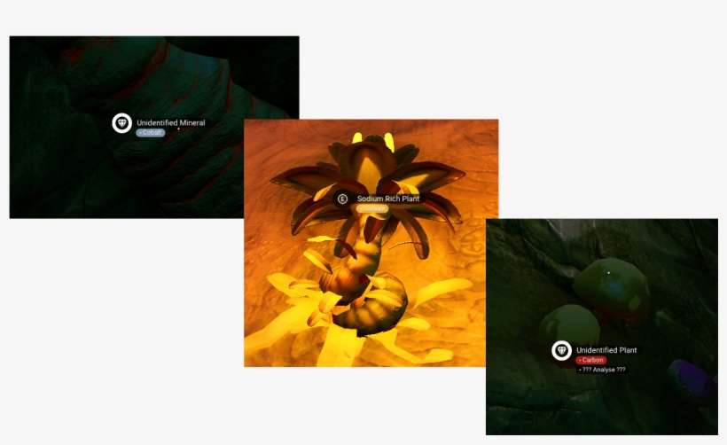 New Materials - Attalea Speciosa, transparent png download