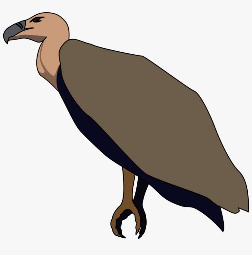 Vulture Vector Turkey Clip Art Black And White Library Turkey Vulture Clip Art Png Image Transparent Png Free Download On Seekpng