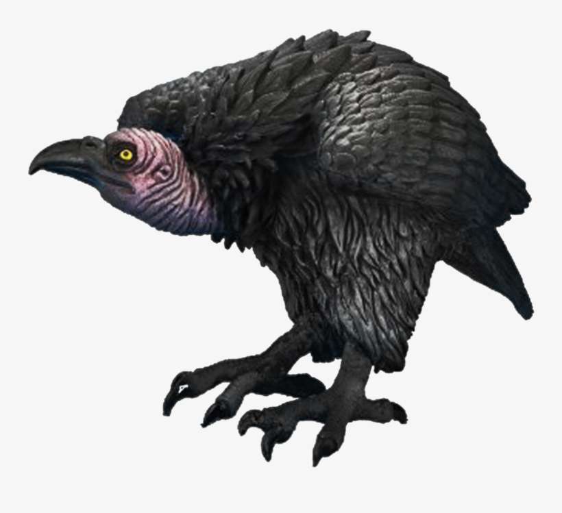 Png Free Library Hummingbird Vs Perspective - Vulture Transparent, transparent png download