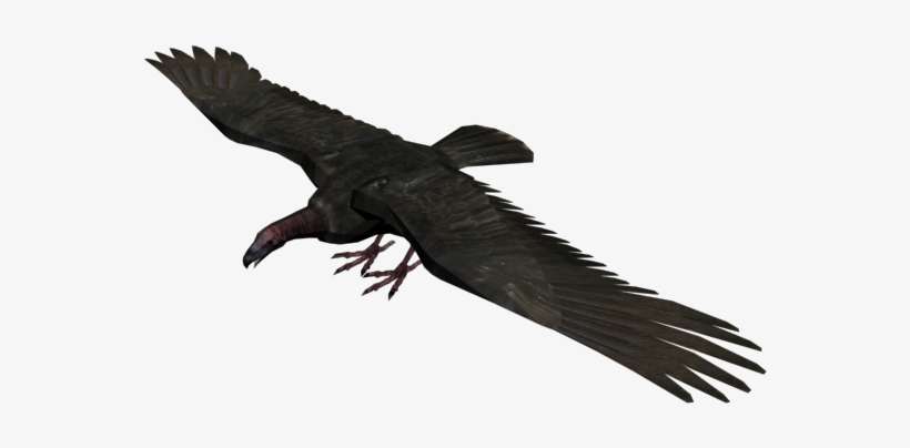 Buitre - Red Dead Redemption Vulture, transparent png download