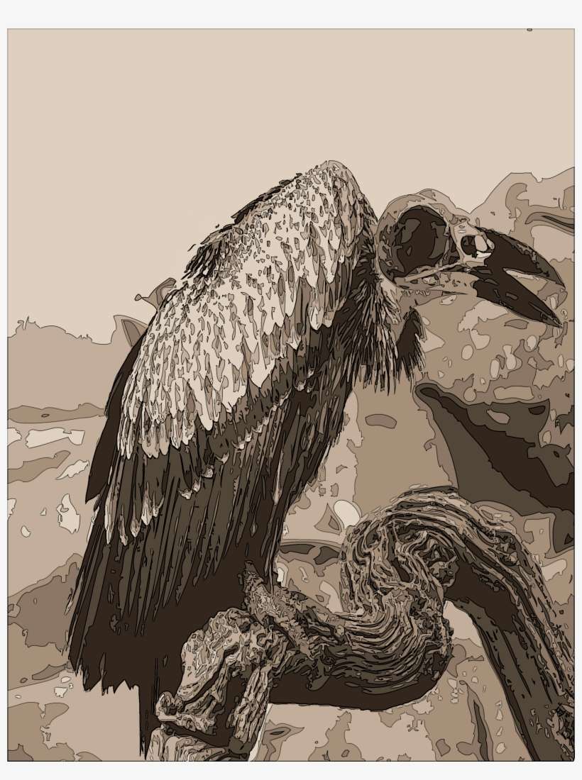 Vulture - Pelican, transparent png download
