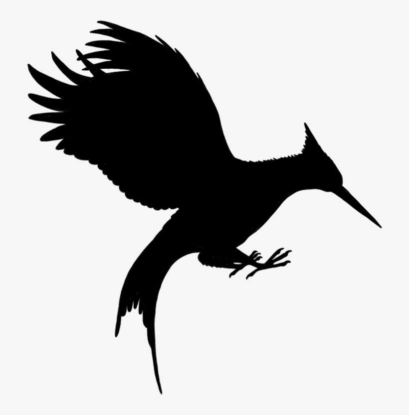 Vulture Vector Hungry - Mockingjay Black And White, transparent png download