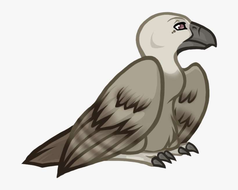 Photo Vulture - Eagle, transparent png download