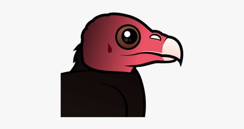 About The Turkey Vulture - Birdorable Turkey Vulture, transparent png download