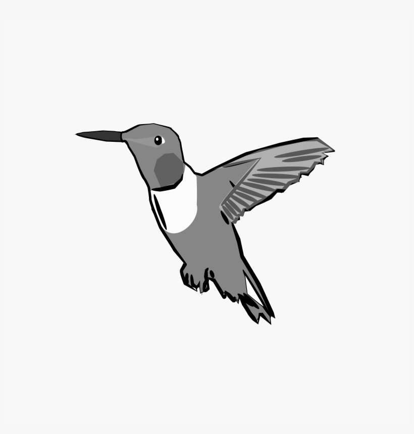 Circle, transparent png download