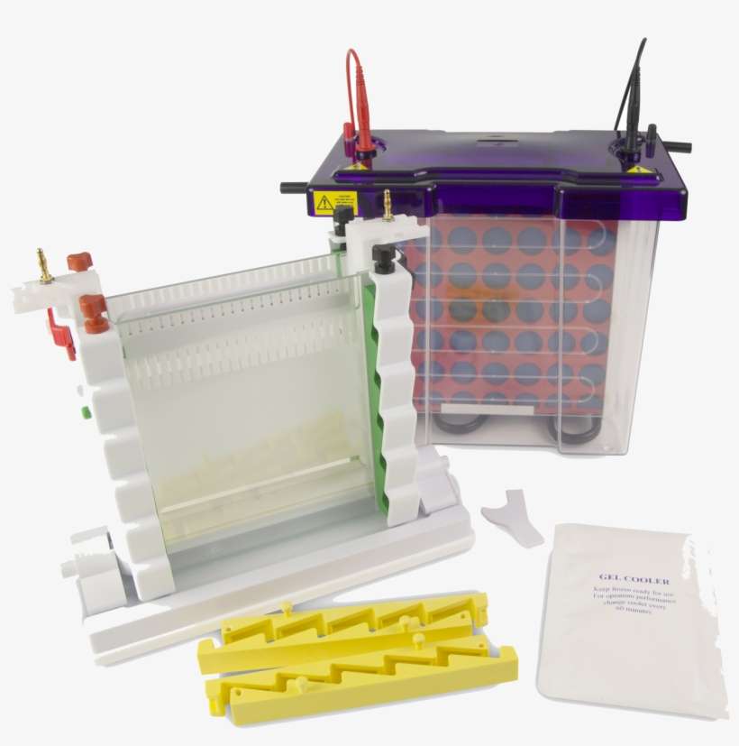 More Info Vertical Electrophoresis Systems - Major Science Mv 10dsys, transparent png download