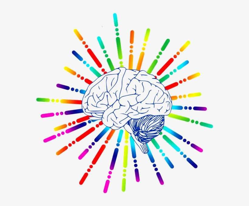 Brain, Icon, Star, Biology, Abstract, Cerebrum, Science - Structure Of Brain Throw Blanket, transparent png download