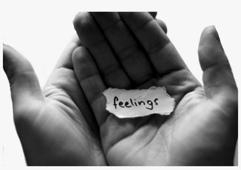 Most Of My Job Description Entails Observing Children's - Mohabbat Quotes In Urdu, transparent png download