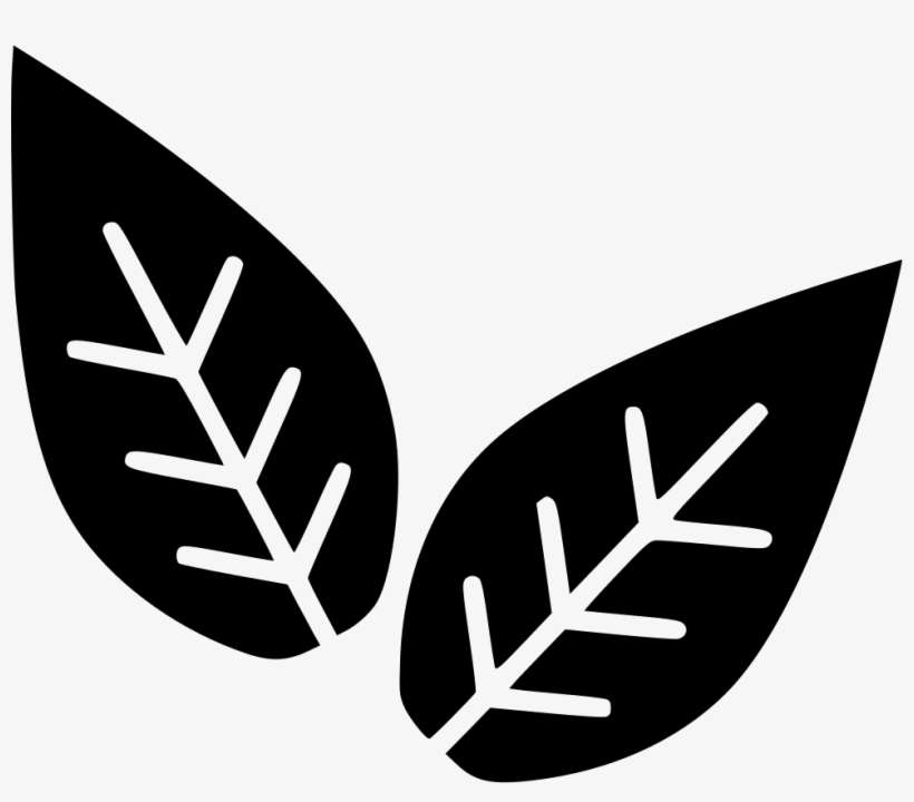 Leaves Plant Biology Comments - Biology Png Icon, transparent png download