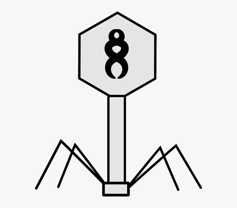 Virus, Bacteriophage, Science, Biology, Structure - Virus Clipart Black And White, transparent png download