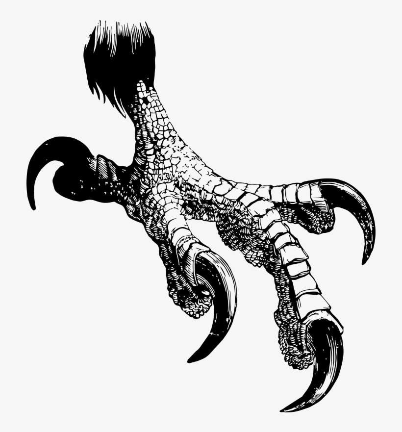 Eagle Claw, transparent png download