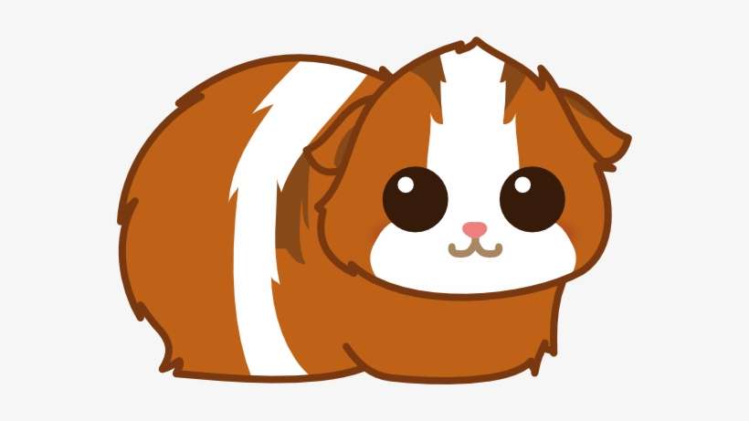 Cartoon Guinea Pig Png, transparent png download