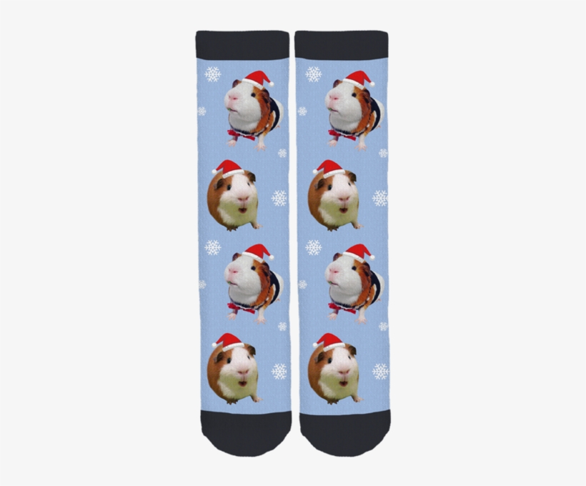 Bruce The Guinea Pig Holiday Socks - Guinea Pig Socks, transparent png download
