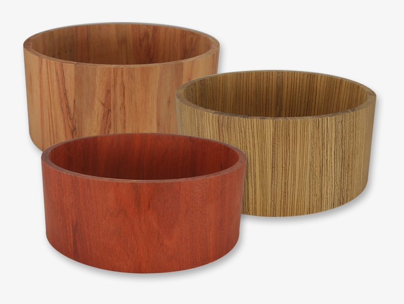 Shells In Stock - Portable Network Graphics, transparent png download