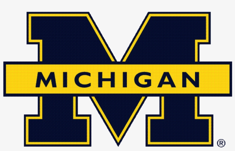Alyssa Skulborstad - Michigan Wolverines, transparent png download