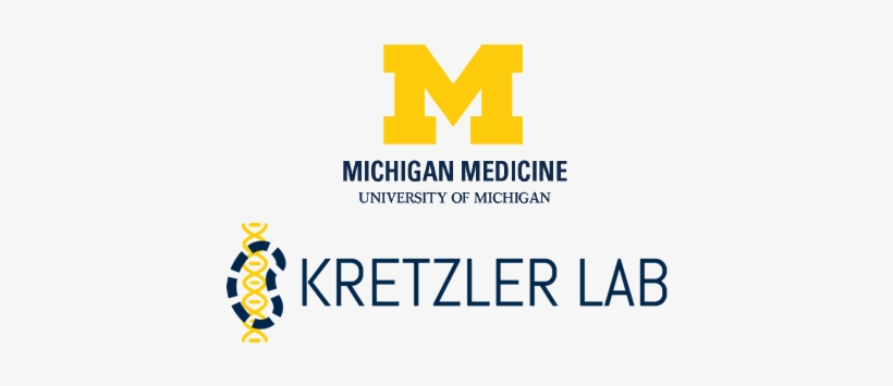 Nephroseq - Michigan Medicine White Logo, transparent png download
