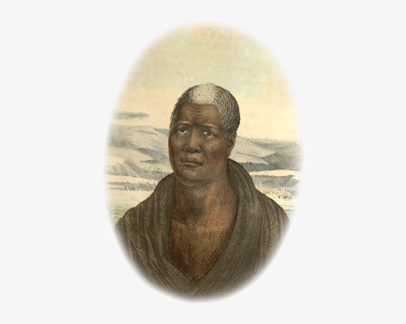 Mōʻī [king] Kamehameha Paiʻea Kūnuiākea [1758-1819] - Kamehameha I, transparent png download