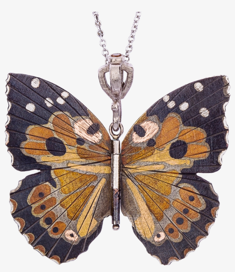 The Kamehameha Butterfly - Kamehameha Butterfly, transparent png download