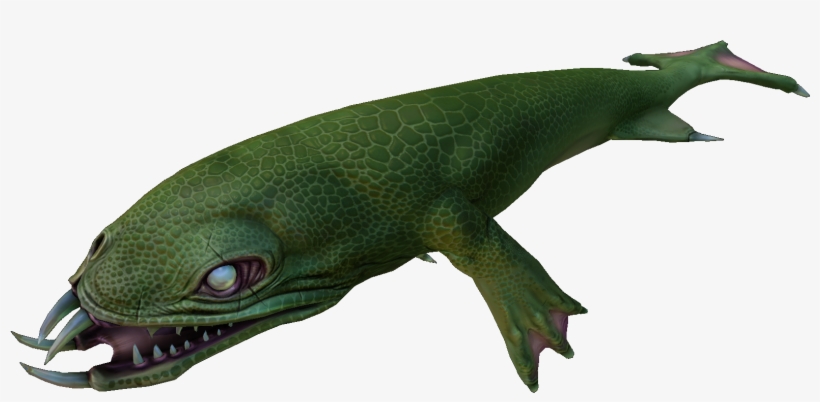 Aggressive - Microlophus Albemarlensis, transparent png download
